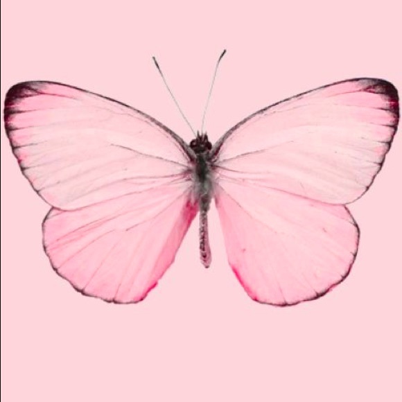 Meet your Posher, Lisa - Picture 1 of 1